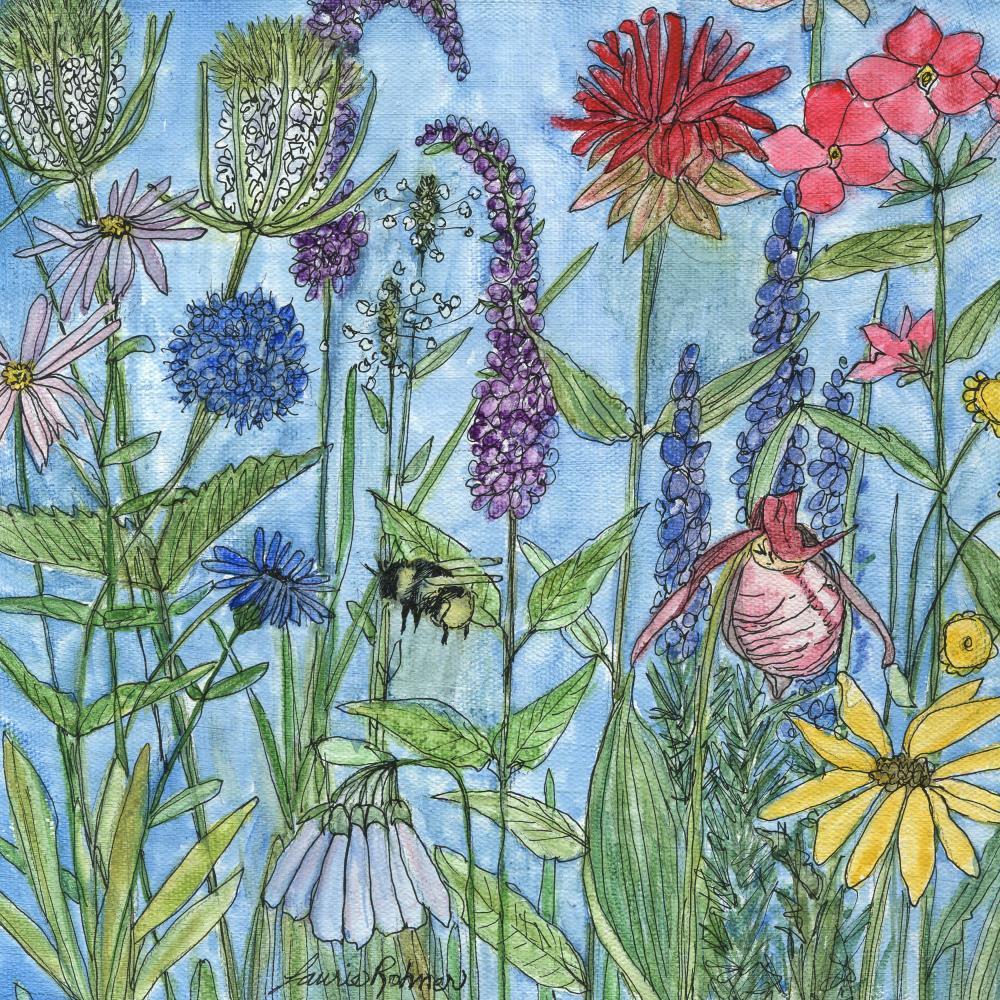 Lady Slipper in the Garden