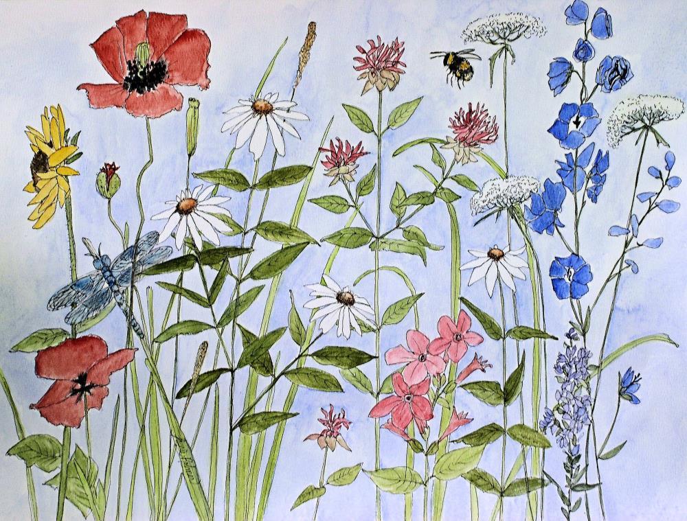 Wildflowers Daisy Poppy Delphinium Blue Skies